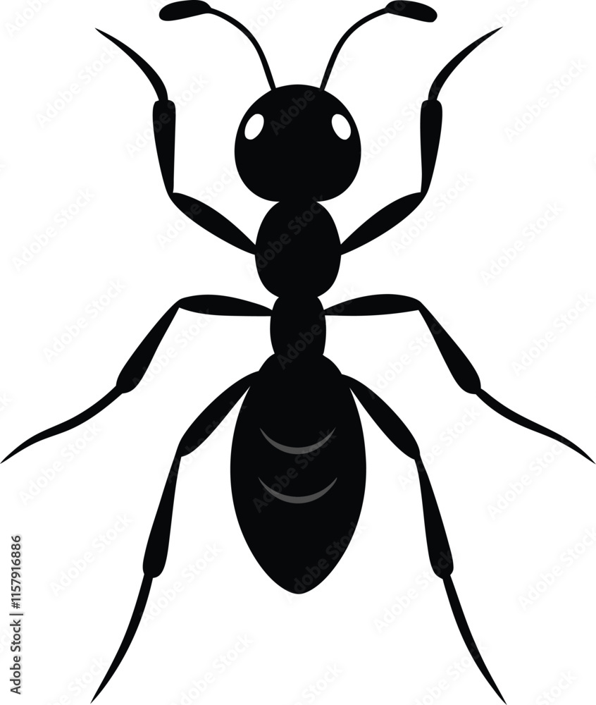 Vector silhouette of ant on white background. Vector silhouette of ant on white background.