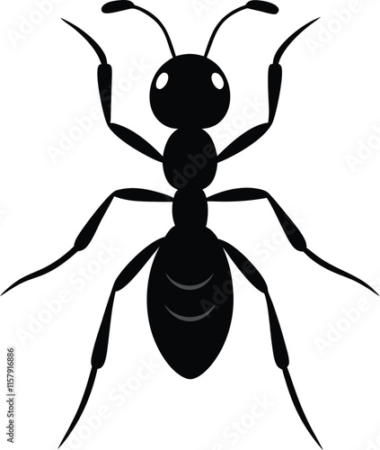 Vector silhouette of ant on white background. 