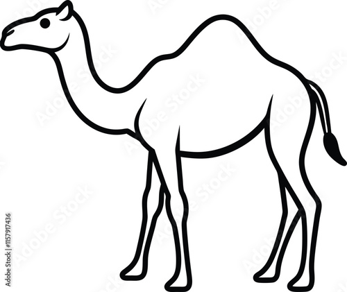 Line art  camels in various poses and positions walking