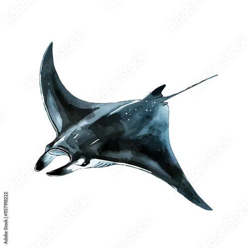 A watercolor vector painting of a Manta Ray gliding through the water, isolated on a white background.

