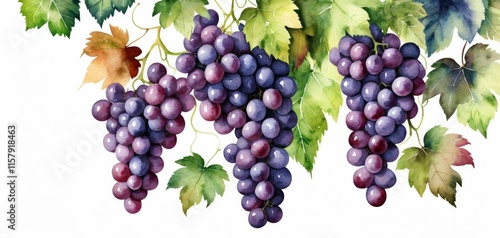 Watercolor grapes with green leaves