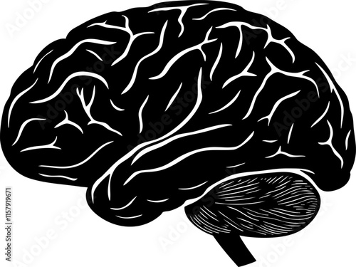 Black and white illustration of a brain, highlighting anatomical features.