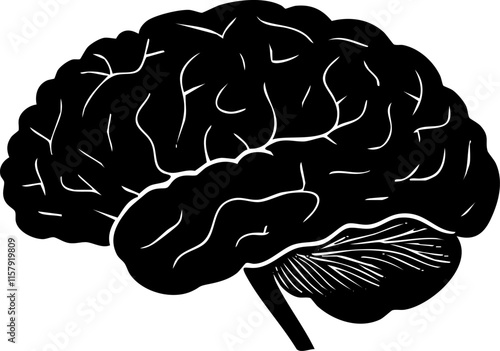 Black and white illustration of a human brain from side view.