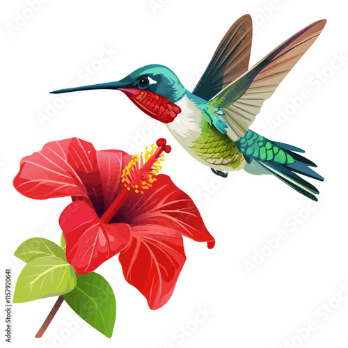 A watercolor vector painting of a hummingbird hovering by a red flower, isolated on a white background. Hummingbird vector.

