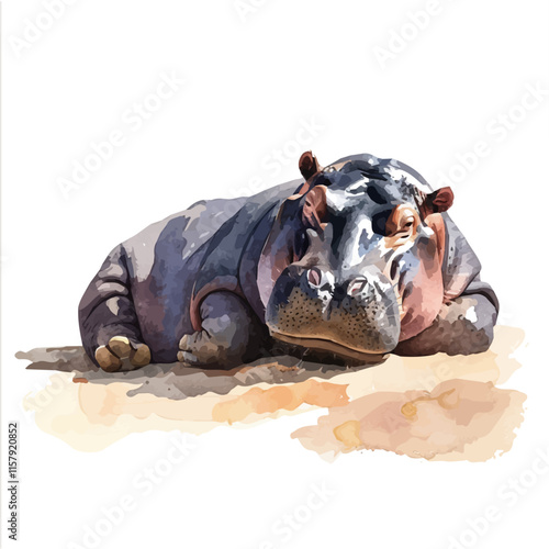 A watercolor vector painting of a hippopotamus basking in the sun, isolated on a white background. Hippopotamus vector.


