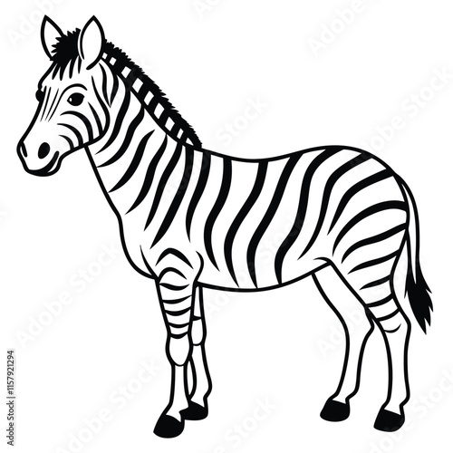 zebra vector illustration