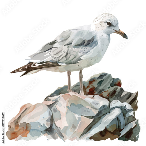 A watercolor vector painting of a gull chick exploring a rocky shore, isolated on a white background. Gull vector.