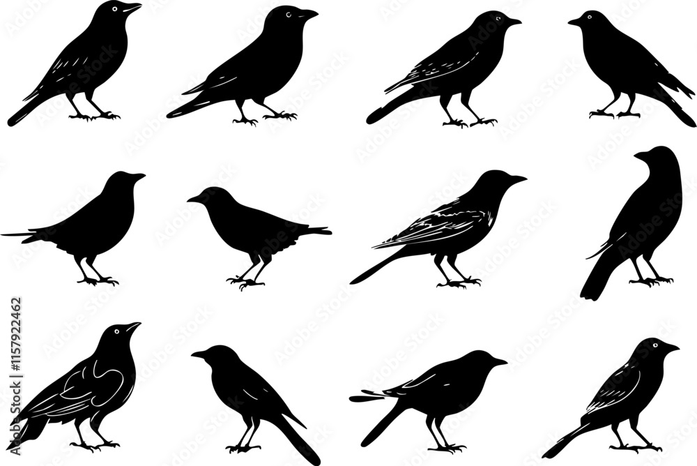 Fototapeta premium Collection of black bird silhouettes, including ravens and crows, isolated.