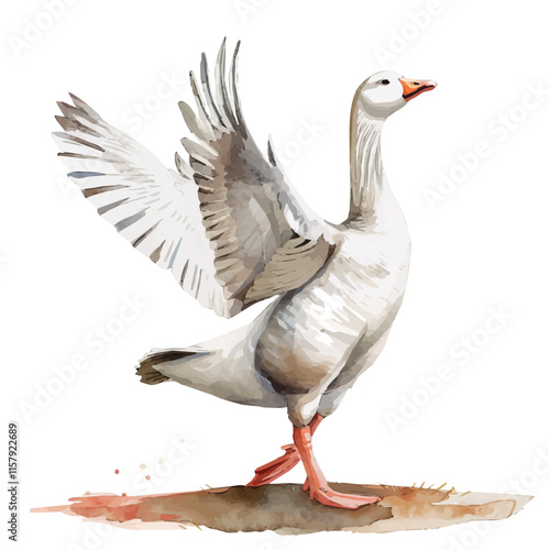 A watercolor vector painting of a goose flapping its wings, isolated on a white background. Goose vector.