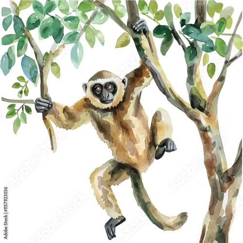 A watercolor vector painting of a gibbon swinging from tree to tree, isolated on a white background. Gibbon vector.