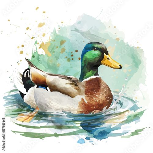 A watercolor vector painting of a duck splashing in a pond, isolated on a white background. Duck vector.