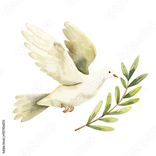 A watercolor vector painting of a dove holding an olive branch, isolated on a white background. Dove vector.