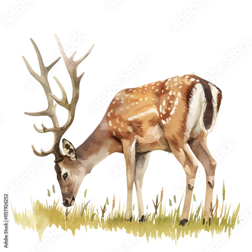 A watercolor vector painting of a deer grazing in the meadow, isolated on a white background. Deer vector.