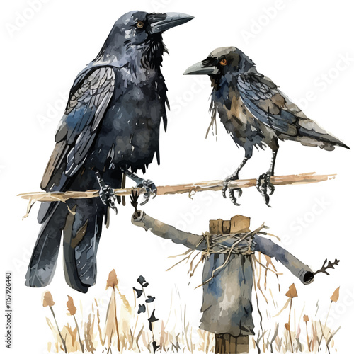 A watercolor vector painting of a crow perched on a scarecrow, isolated on a white background. Crow vector.