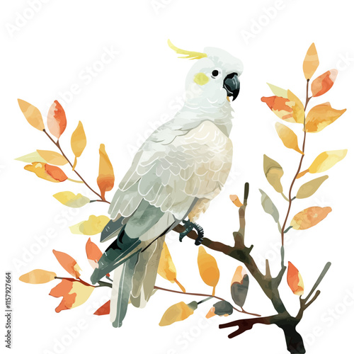 A watercolor vector painting of cockatoo playing with branches, isolated on a white background. Cockatoo vector.

