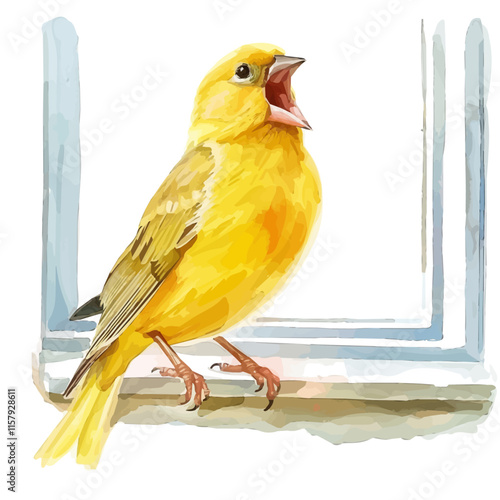 A watercolor vector painting of canary singing on a windowsill, isolated on a white background. Canary vector.

