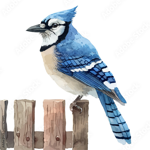 A watercolor vector painting of blue jay perched on a fence, isolated on a white background. Blue jay vector.

