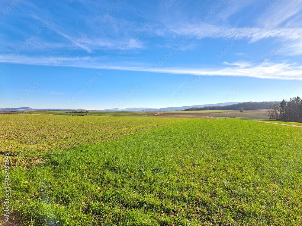 field and blue sky field and blue sky