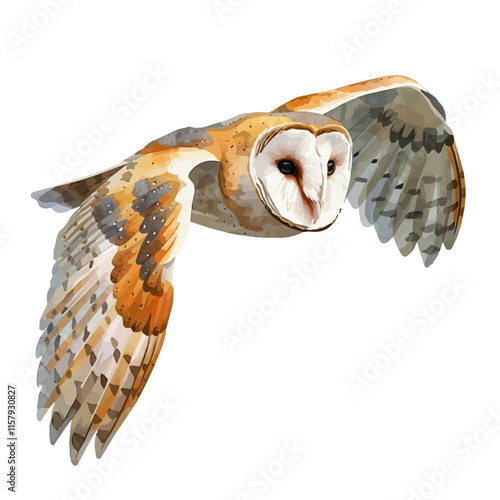 A watercolor vector painting of barn owl flying at dusk, isolated on a white background. Barn owl vector.


