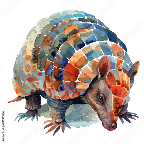 A watercolor vector painting of armadillo rolling into a ball, isolated on a white background. Armadillo vector.

