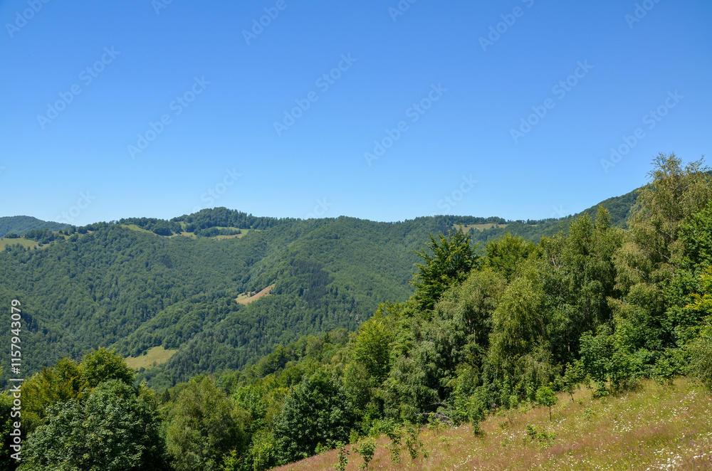 Fototapeta premium Breathtaking view of green forested hills extending into the distance under a clear blue sky. The natural beauty of the landscape evokes feelings of peace and serenity. Carpathian Mountains, Ukraine