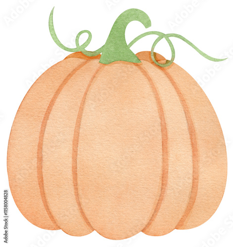 Cute watercolor pumpkin