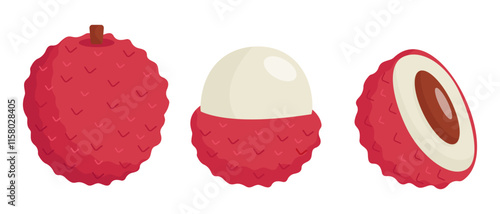 Lychee fruit vector illustration. Whole, peeled, and halved lychee in a flat minimalistic style.