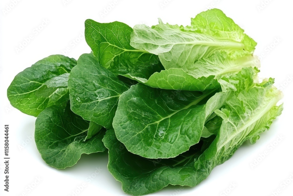 crisp green salad leaves crisp green salad leaves