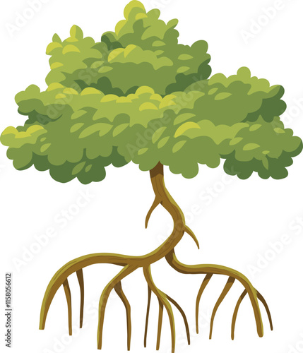 Mangrove Tree Illustration