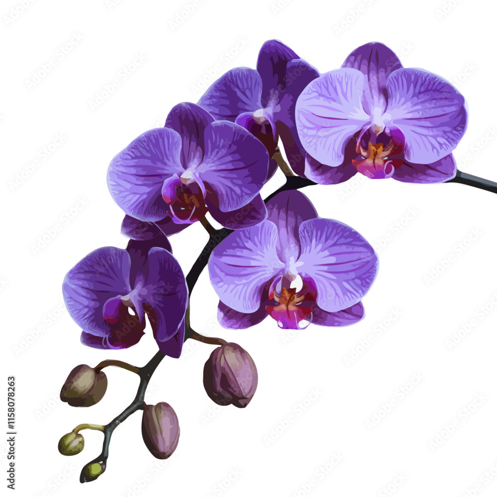 Obraz premium One Mauve Purple Orchid Flower stem element vector elegant romantic illustration isolated on transparent background