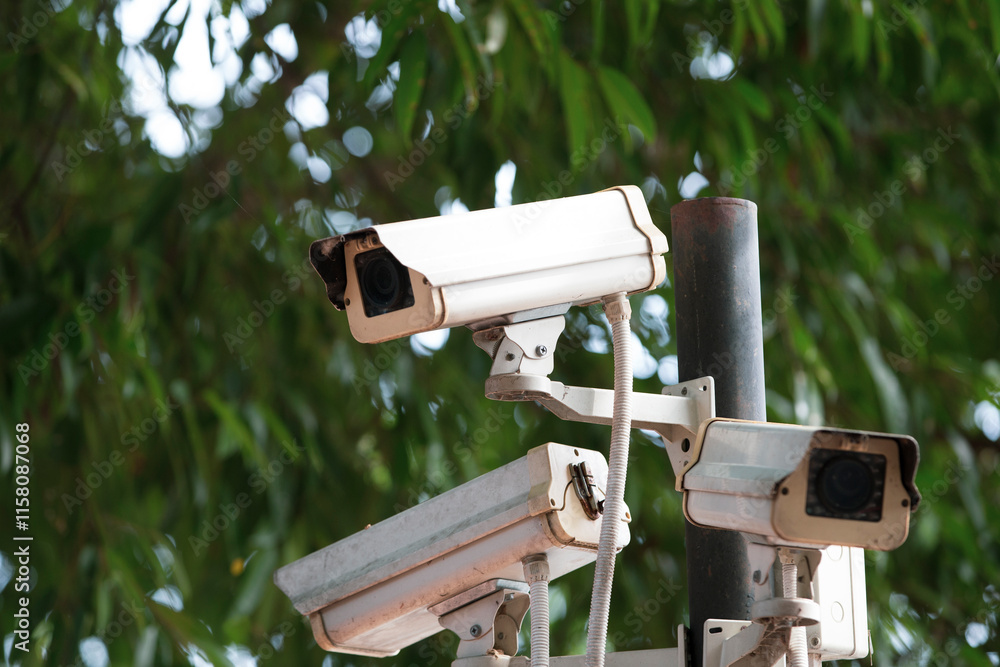 CCTV security camera or surveillance system in public park or forest. CCTV security camera or surveillance system in public park or forest.