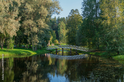 A wooden bridge over the pond 