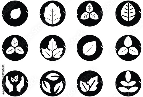 Leaves icon set. Collection of leaf logo design for eco, organic, food, beauty, health care brand identity. vector illustration with transparent background.