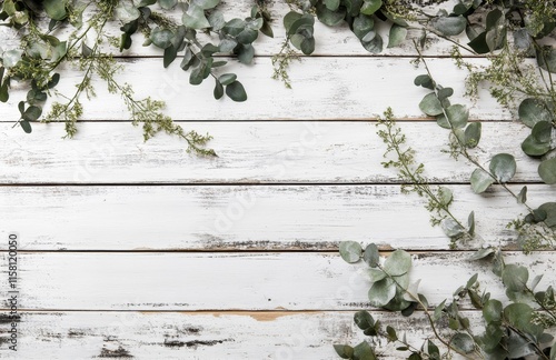 Greenery frame on rustic white wood background. photo