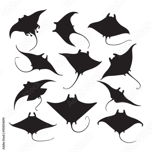 Silhouettes of Diverse Manta Rays in Flight