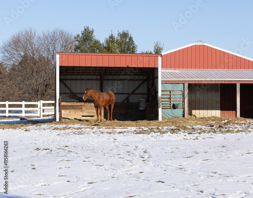 A horse standing in a run-in shed on a sunny winter day with snow in the pasture and another run-in shed in the background. 