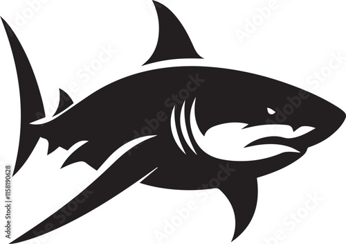 shark illustration