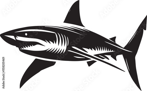 illustration of a shark