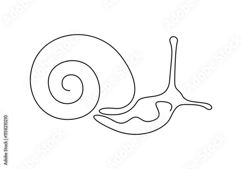 Continuous single line drawing of conch snail shell. Seashell symbol and banner of beauty spa and wellness salon in simple linear style. Vector illustration