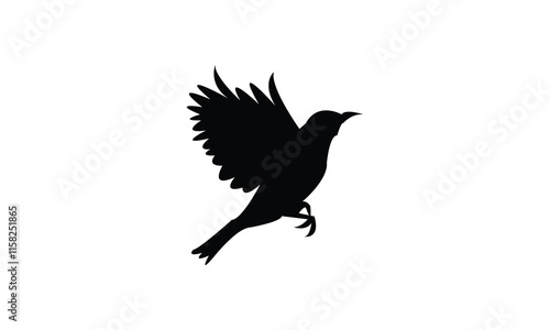 Flying White Eye Bird Silhouette Design  And Vector Illustration. 