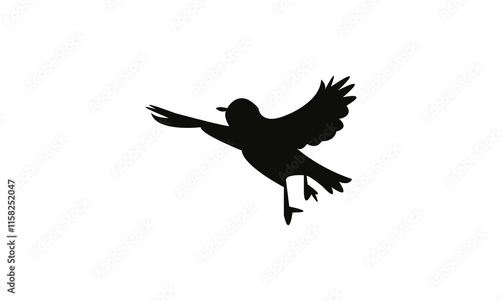 Obraz premium Flying White Eye Bird Silhouette Design And Vector Illustration. 