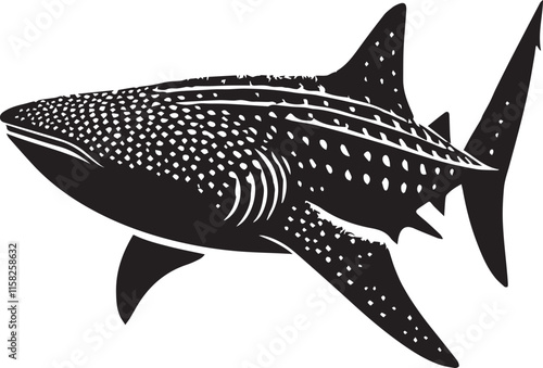 Black and white shark