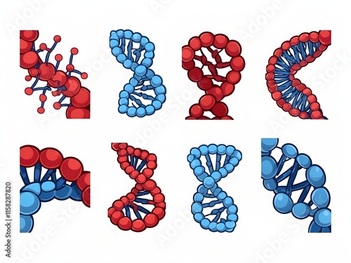 Vector illustration of human DNA structure photo