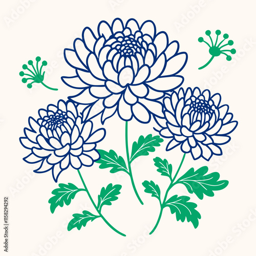 vector illustration of chrysanthemum flower nature plant cartoon design style