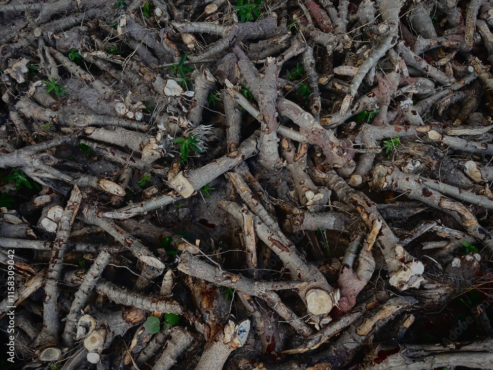 background of many wooden branches with green leaves background of many wooden branches with green leaves