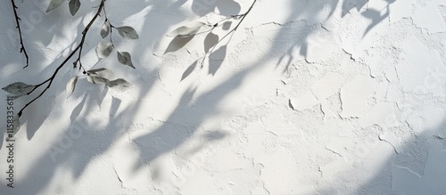 Peeling white plaster wall texture with leaf shadows ideal for interior design showcasing a minimalist aesthetic and space for text.