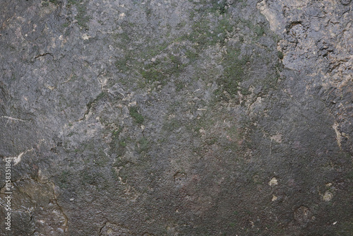 Background texture of Mossy concrete wall wet after the rain, suitable for background, grunge style photo