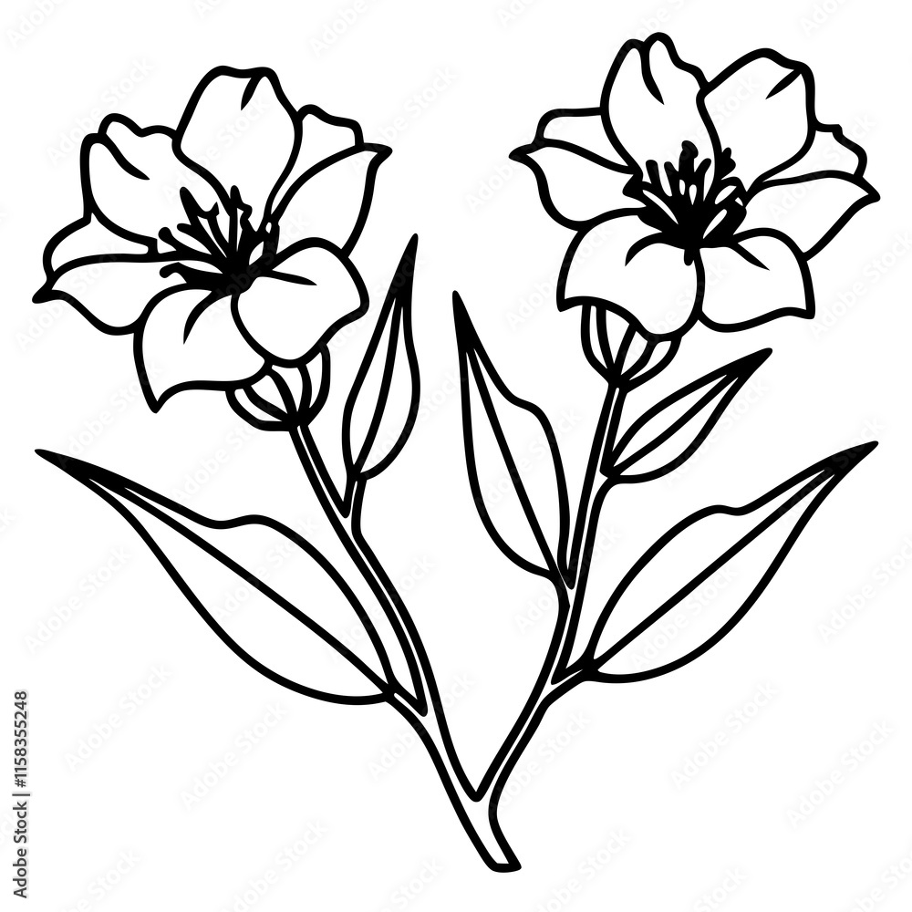 Two Lechenaultia Flowers on White Two Lechenaultia Flowers on White