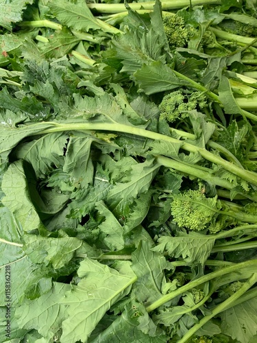 Rapeseed in a vegetable market. Cime di rapa in italian language