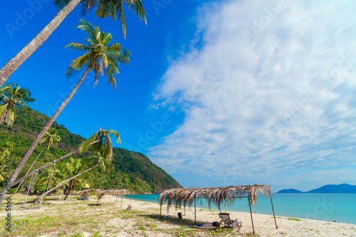 beach with palm trees in Koh Chang photo